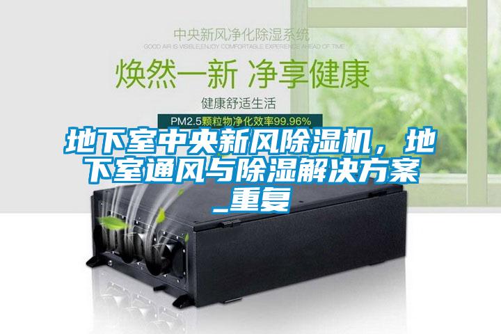 地下室中央新風除濕機，地下室通風與除濕解決方案_重復
