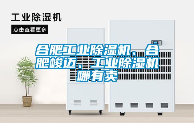 合肥工業(yè)除濕機、合肥峻邁、工業(yè)除濕機哪有賣
