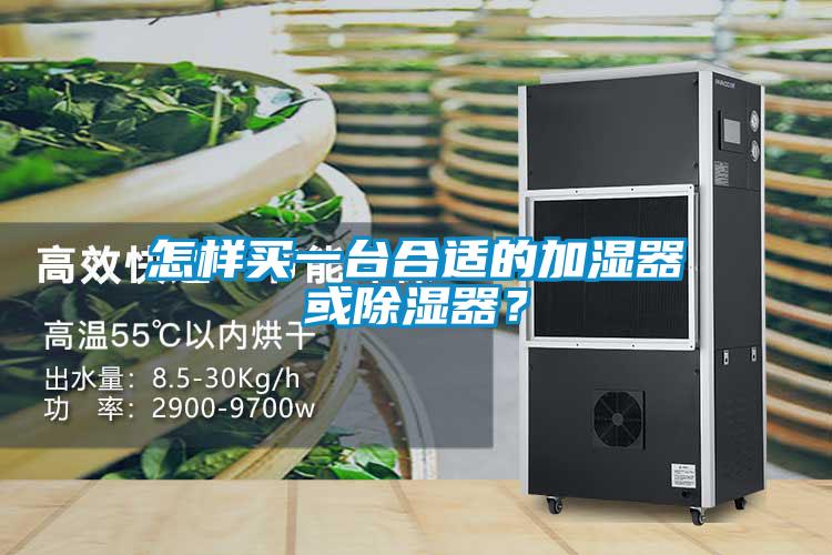 怎樣買一臺合適的加濕器或除濕器？