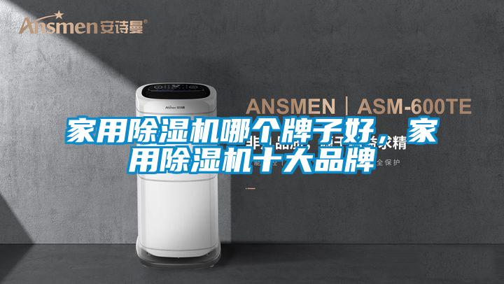 家用除濕機哪個牌子好，家用除濕機十大品牌