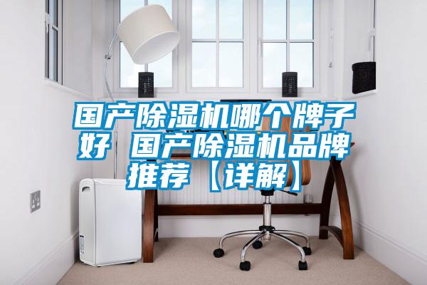 國(guó)產(chǎn)除濕機(jī)哪個(gè)牌子好 國(guó)產(chǎn)除濕機(jī)品牌推薦【詳解】