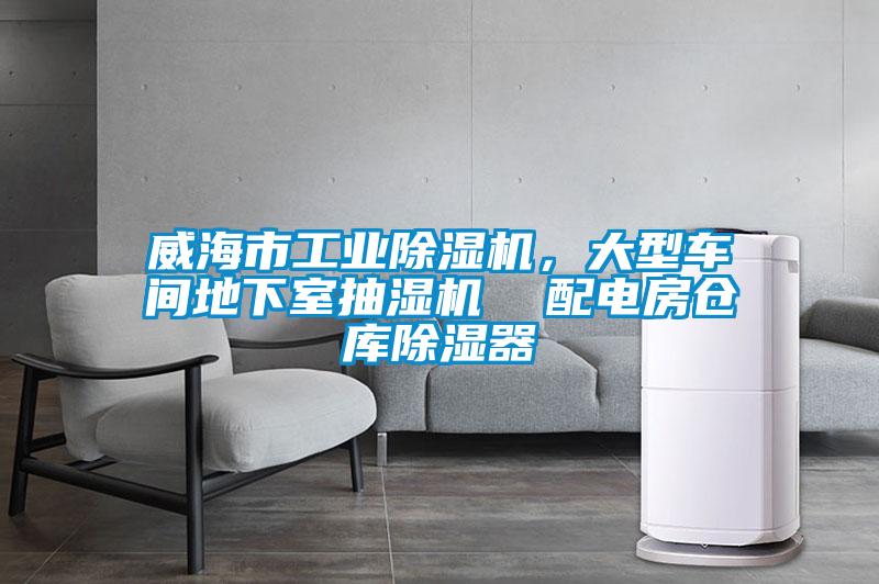威海市工業(yè)除濕機(jī)，大型車間地下室抽濕機(jī)  配電房倉庫除濕器