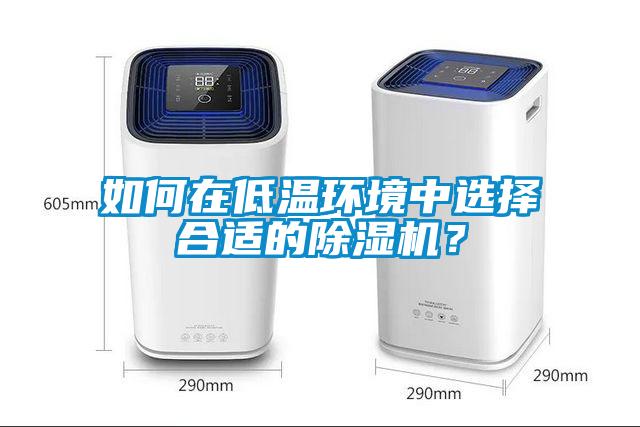 如何在低溫環(huán)境中選擇合適的除濕機(jī)？