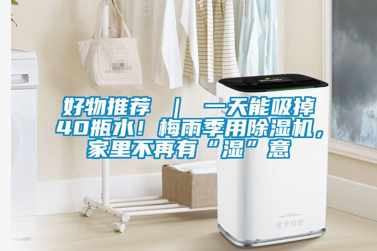 好物推薦 ｜ 一天能吸掉40瓶水！梅雨季用除濕機，家里不再有“濕”意