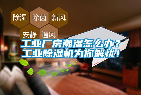 工業(yè)廠房潮濕怎么辦？工業(yè)除濕機(jī)為你解憂！
