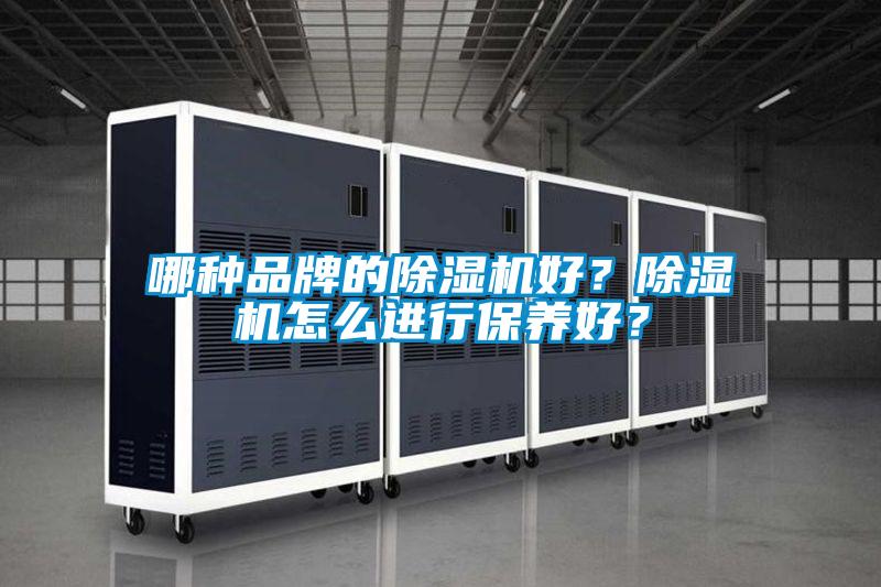 哪種品牌的除濕機好？除濕機怎么進行保養(yǎng)好？