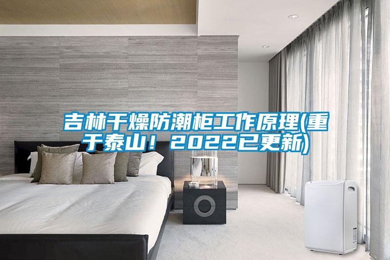 吉林干燥防潮柜工作原理(重于泰山！2022已更新)