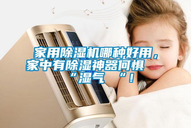 家用除濕機(jī)哪種好用，家中有除濕神器何懼 “濕氣 “！