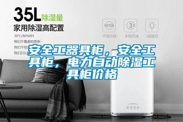 安全工器具柜，安全工具柜，電力自動除濕工具柜價格
