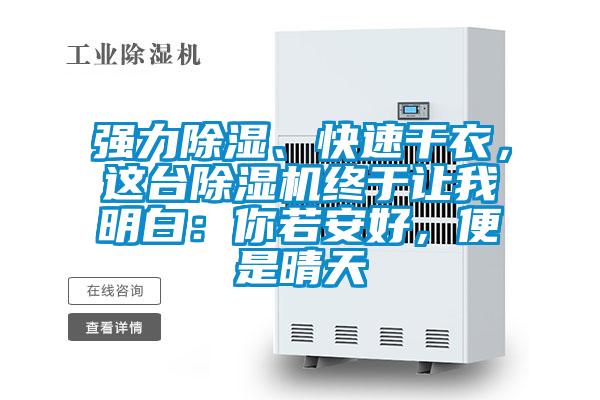 強(qiáng)力除濕、快速干衣，這臺(tái)除濕機(jī)終于讓我明白：你若安好，便是晴天