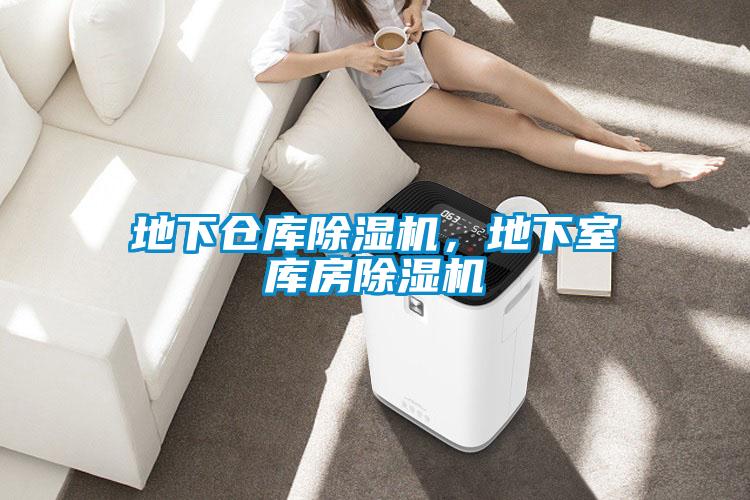 地下倉庫除濕機(jī)，地下室?guī)旆砍凉駲C(jī)