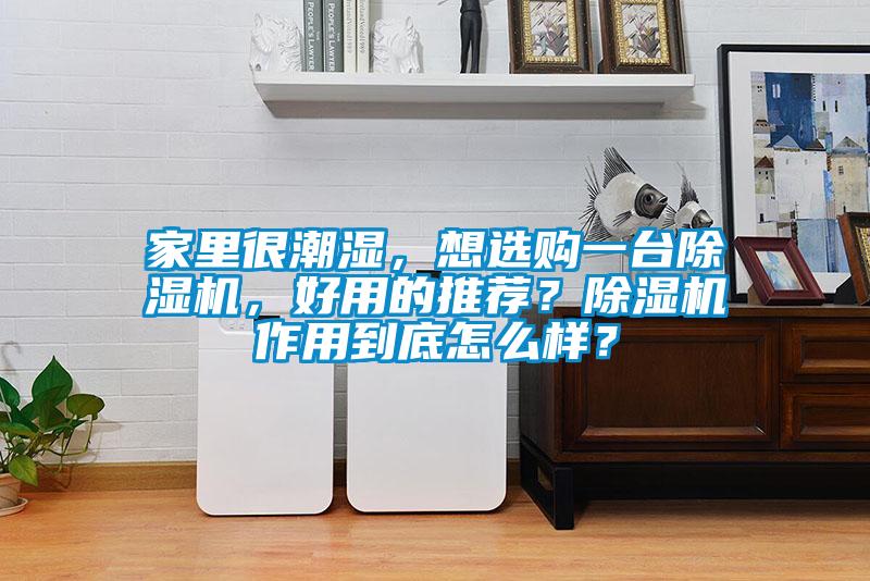 家里很潮濕，想選購一臺(tái)除濕機(jī)，好用的推薦？除濕機(jī)作用到底怎么樣？