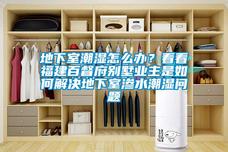 地下室潮濕怎么辦？看看福建百督府別墅業(yè)主是如何解決地下室滲水潮濕問題