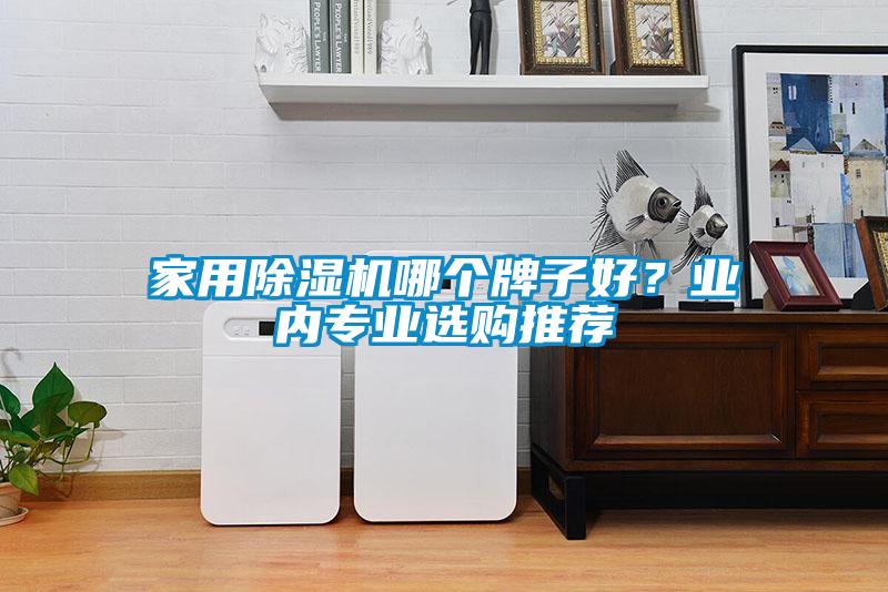 家用除濕機(jī)哪個(gè)牌子好？業(yè)內(nèi)專業(yè)選購?fù)扑]