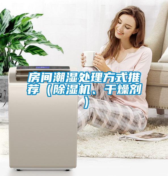 房間潮濕處理方式推薦（除濕機、干燥劑）