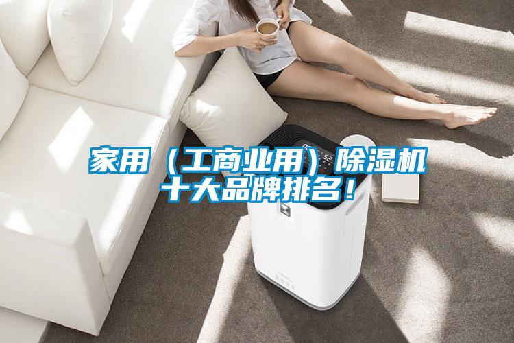 家用（工商業(yè)用）除濕機(jī)十大品牌排名！