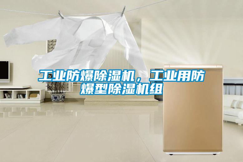 工業(yè)防爆除濕機(jī)，工業(yè)用防爆型除濕機(jī)組