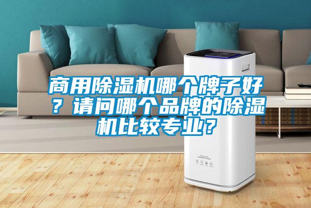 商用除濕機哪個牌子好？請問哪個品牌的除濕機比較專業(yè)？