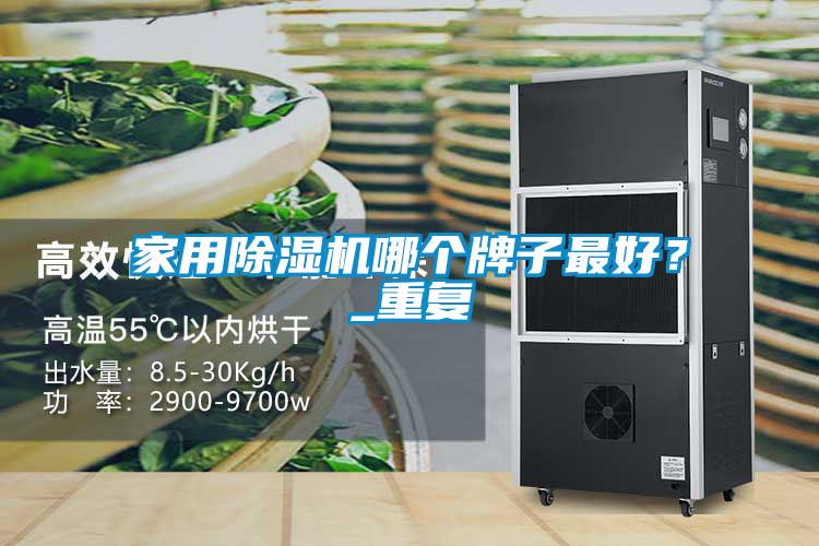 家用除濕機(jī)哪個(gè)牌子最好？_重復(fù)