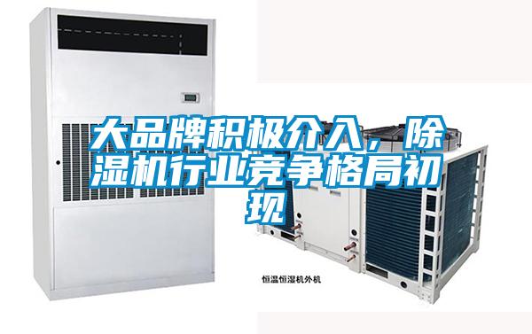 大品牌積極介入，除濕機(jī)行業(yè)競爭格局初現(xiàn)