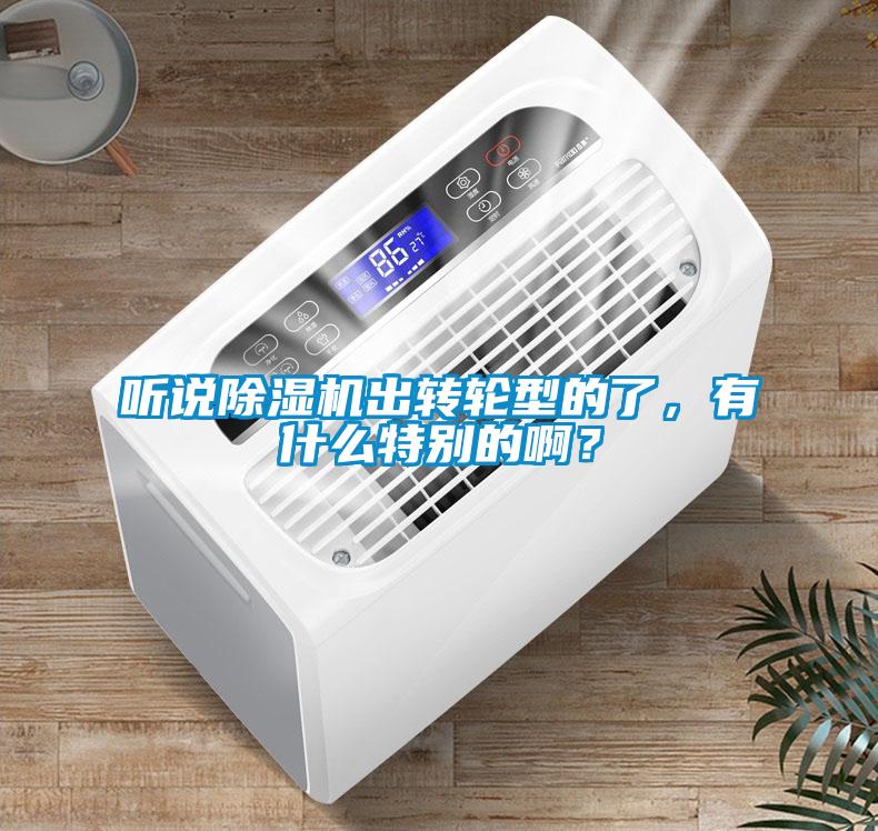 聽說除濕機(jī)出轉(zhuǎn)輪型的了，有什么特別的啊？