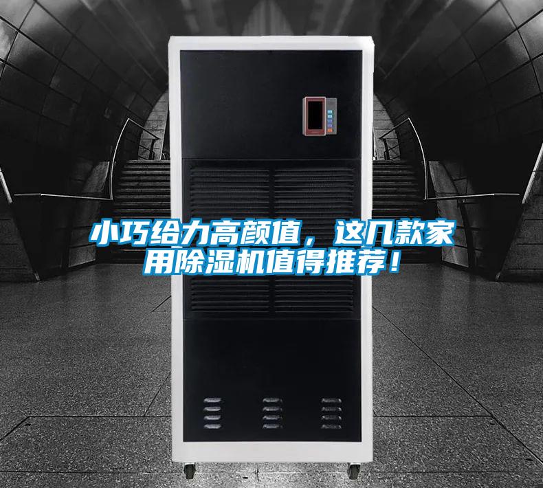 小巧給力高顏值，這幾款家用除濕機值得推薦！