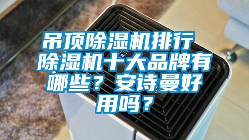 吊頂除濕機排行 除濕機十大品牌有哪些？安詩曼好用嗎？