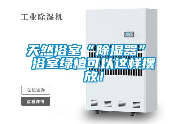 天然浴室“除濕器” 浴室綠植可以這樣擺放！