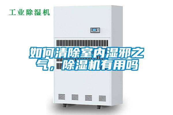 如何清除室內濕邪之氣，除濕機有用嗎
