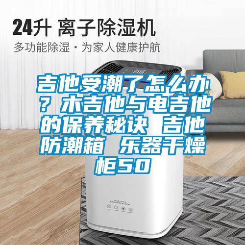 吉他受潮了怎么辦？木吉他與電吉他的保養(yǎng)秘訣 吉他防潮箱 樂器干燥柜50