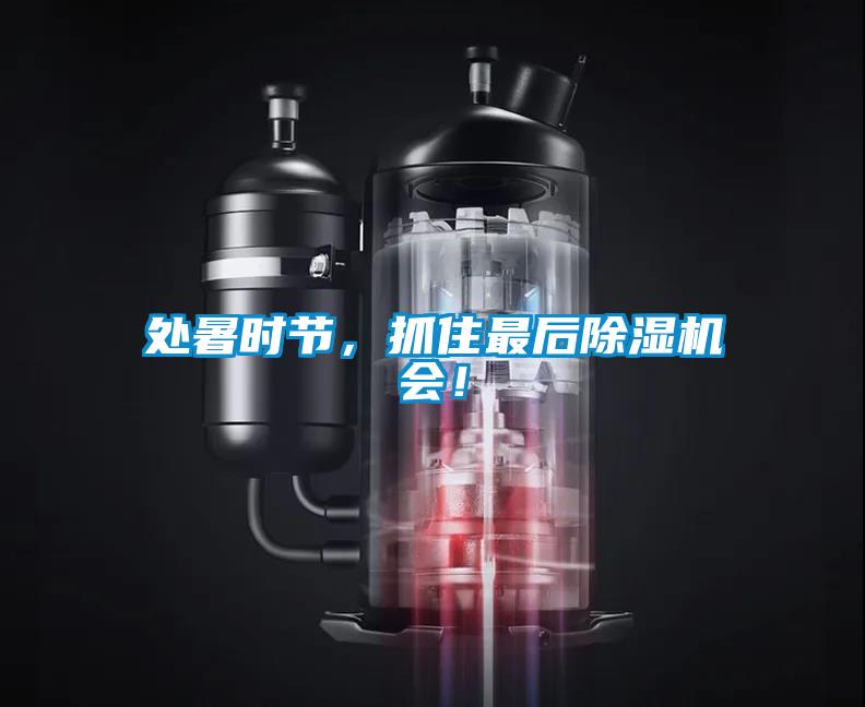 處暑時節(jié)，抓住最后除濕機會！