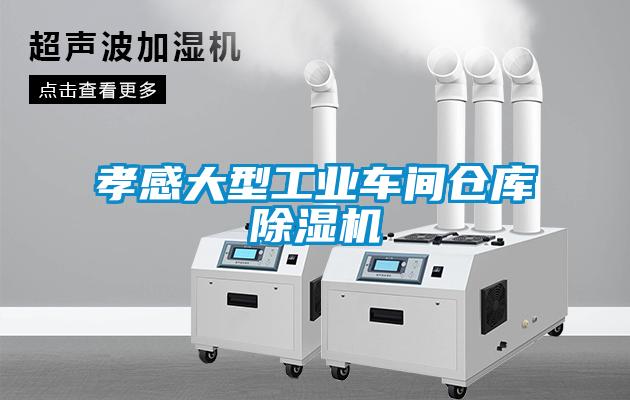 孝感大型工業(yè)車(chē)間倉(cāng)庫(kù)除濕機(jī)