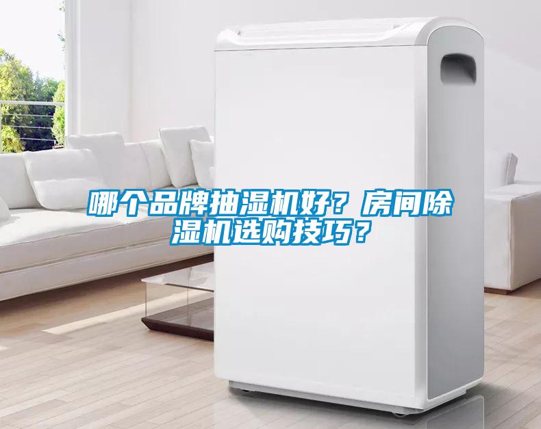 哪個品牌抽濕機好？房間除濕機選購技巧？
