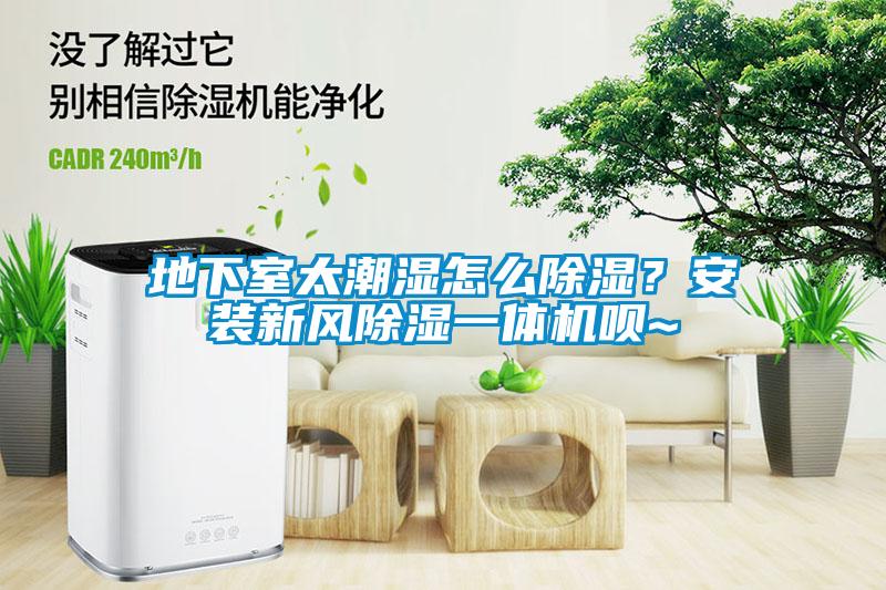 地下室太潮濕怎么除濕？安裝新風(fēng)除濕一體機(jī)唄~