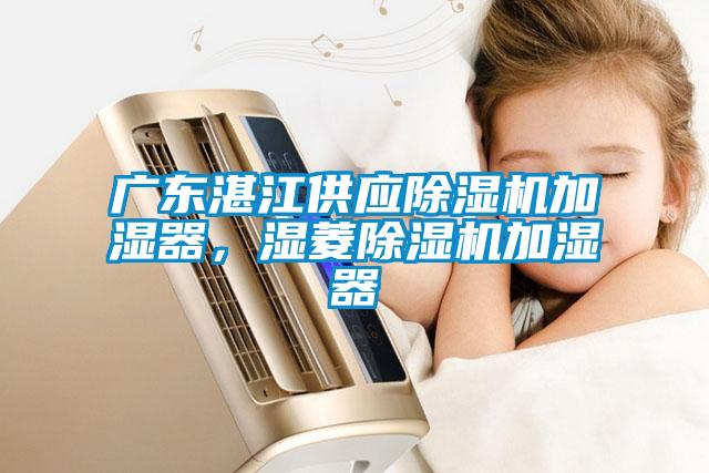 廣東湛江供應(yīng)除濕機加濕器，濕菱除濕機加濕器