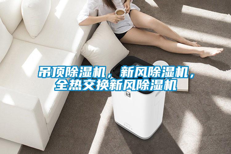 吊頂除濕機(jī)，新風(fēng)除濕機(jī)，全熱交換新風(fēng)除濕機(jī)