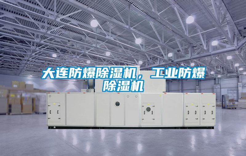 大連防爆除濕機(jī)，工業(yè)防爆除濕機(jī)