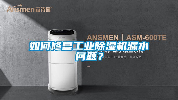 如何修復(fù)工業(yè)除濕機(jī)漏水問(wèn)題？