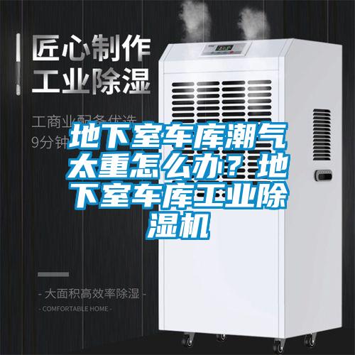 地下室車庫潮氣太重怎么辦？地下室車庫工業(yè)除濕機(jī)