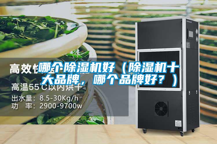 哪個(gè)除濕機(jī)好（除濕機(jī)十大品牌，哪個(gè)品牌好？）