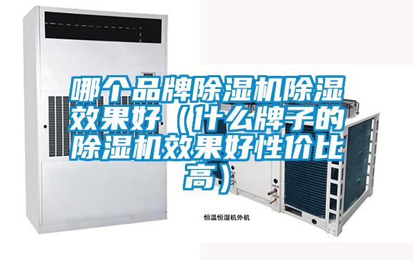 哪個品牌除濕機(jī)除濕效果好（什么牌子的除濕機(jī)效果好性價比高）