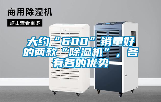 大約“600”銷量好的兩款“除濕機(jī)”，各有各的優(yōu)勢(shì)