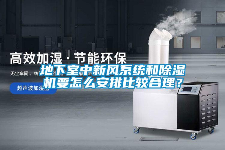 地下室中新風(fēng)系統(tǒng)和除濕機(jī)要怎么安排比較合理？