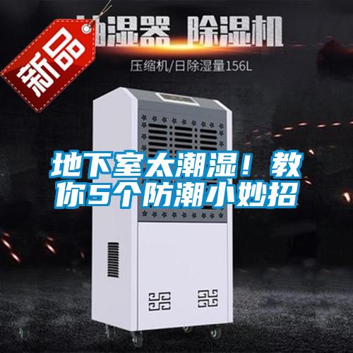 地下室太潮濕！教你5個(gè)防潮小妙招