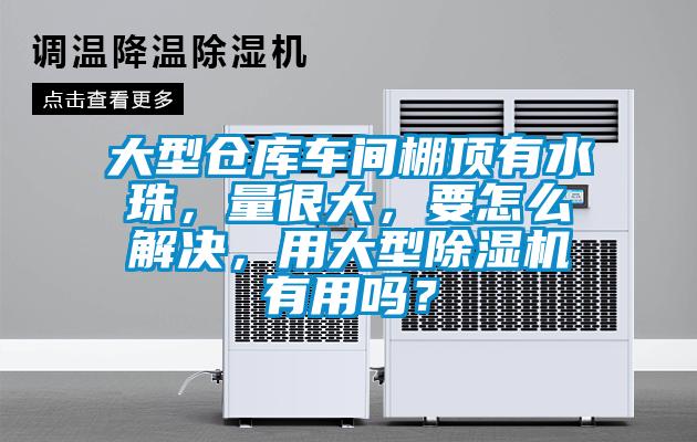 大型倉庫車間棚頂有水珠，量很大，要怎么解決，用大型除濕機(jī)有用嗎？