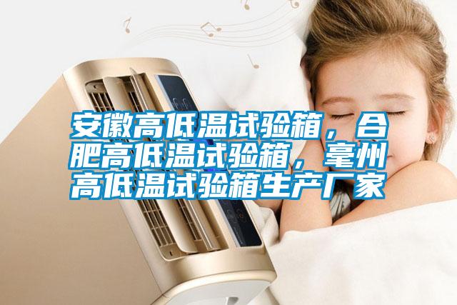 安徽高低溫試驗箱，合肥高低溫試驗箱，毫州高低溫試驗箱生產廠家