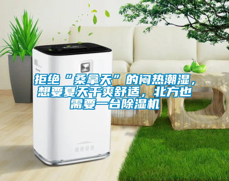 拒絕“桑拿天”的悶熱潮濕，想要夏天干爽舒適，北方也需要一臺除濕機