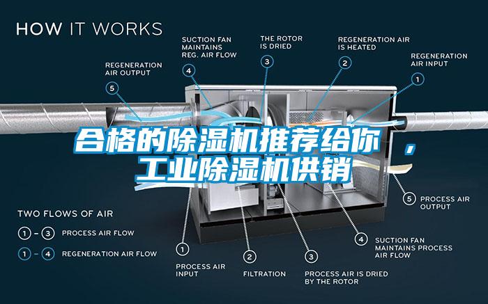 合格的除濕機(jī)推薦給你 ，工業(yè)除濕機(jī)供銷