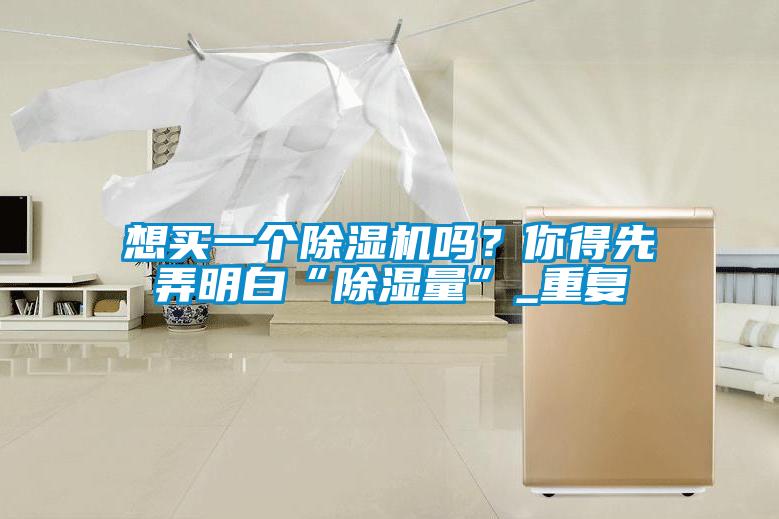想買一個除濕機嗎？你得先弄明白“除濕量”_重復