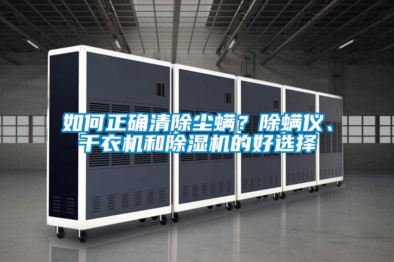 如何正確清除塵螨？除螨儀、干衣機和除濕機的好選擇